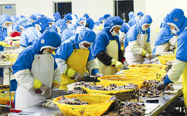 延邊食品產(chǎn)業(yè)壯大 1至8月工業(yè)總產(chǎn)值212億元