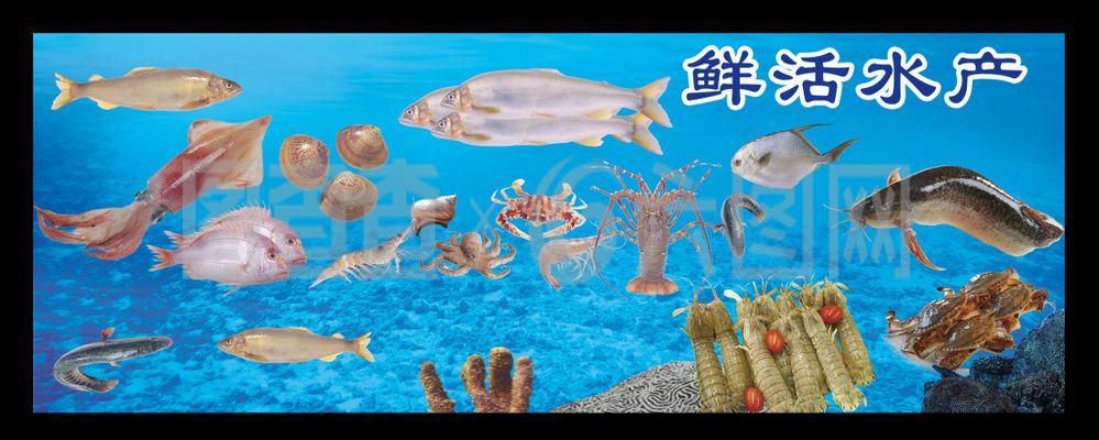 水產(chǎn)海報