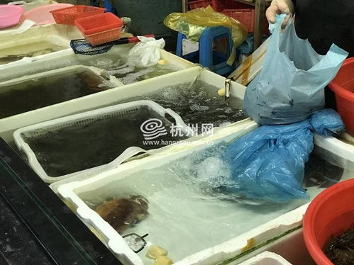 杭州出臺水產(chǎn)養(yǎng)殖用藥減量行動方案 舌尖上的魚鮮將更安全