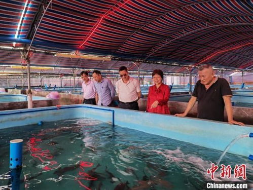 臺(tái)商借自貿(mào)港政策東風(fēng)加速布局海南水產(chǎn)產(chǎn)業(yè)