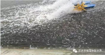 水產(chǎn)養(yǎng)殖中藻類(lèi)的定向培養(yǎng)技術(shù)與應(yīng)用