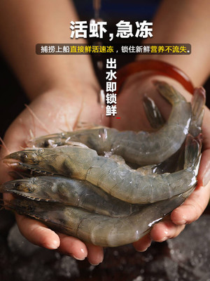 青島大蝦 鮮活與冷凍的完美選擇