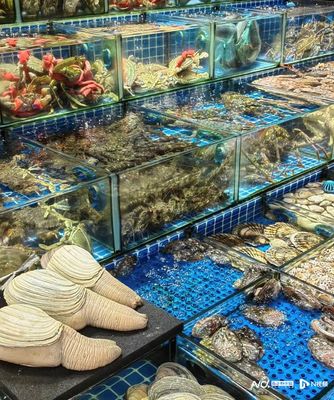 老廣年貨圖鑒 堅(jiān)果、禽類(lèi)、海鮮與年宵花的購(gòu)銷(xiāo)熱潮