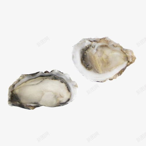 法國(guó)進(jìn)口海蠣 海洋珍饈的電商創(chuàng)意呈現(xiàn)