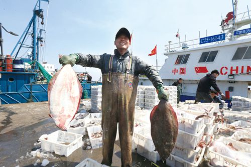 榮成漁業(yè)捕撈有序展開(kāi)，水產(chǎn)供應(yīng)穩(wěn)步恢復(fù)